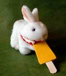 origami popsicle