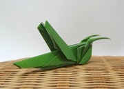 Grasshopper Origami