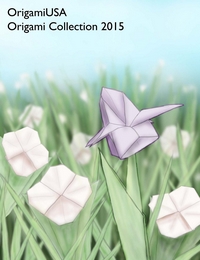 Origami USA Convention 2015 book cover