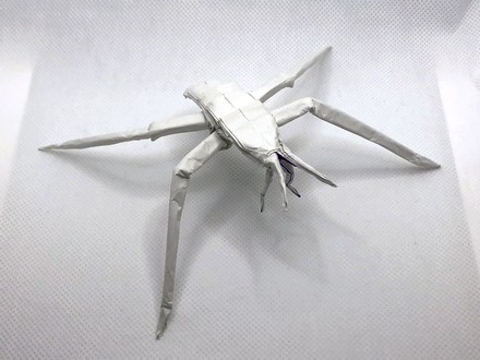 Origami Water strider by Robert J. Lang on giladorigami.com
