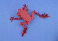 Origami Poison dart frog by Robert J. Lang on giladorigami.com