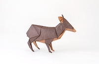 Origami Southern Pudu by Quentin Trollip on giladorigami.com