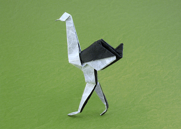 Origami Ostriches Gilads Origami Page