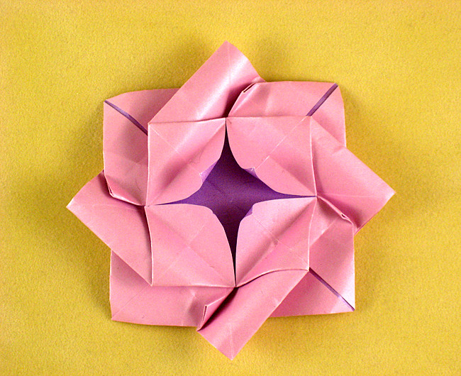 https://www.giladorigami.com/P_Rose_Kasahara_Omnibus.jpg