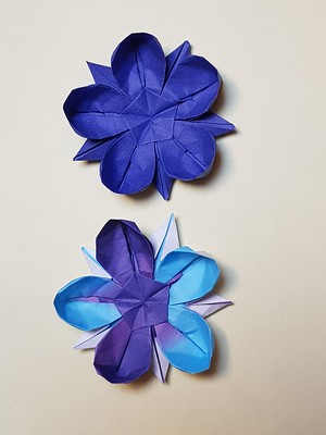 Origami Pentagonal flower by Christiane Bettens (Melisande) on giladorigami.com