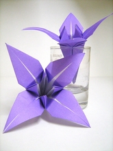 Origami Iris by Traditional on giladorigami.com