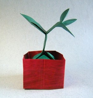 Origami Bonsai by Roger Garcia on giladorigami.com