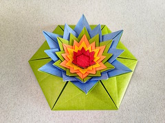 Origami Water lily by Madhura Gupta on giladorigami.com