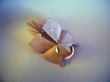 Origami Flying squirrel by Gen Hagiwara on giladorigami.com