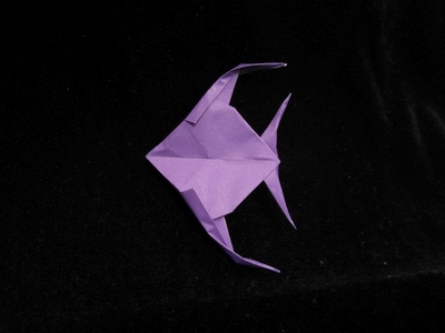 Origami Angelfish by Cesar A. Massari on giladorigami.com