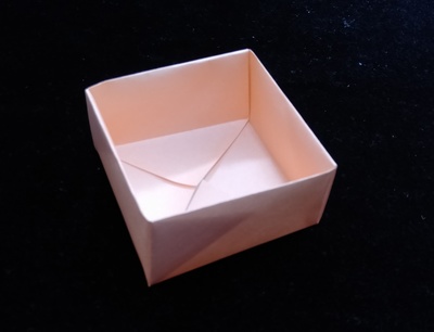 Origami Box by Florence Temko on giladorigami.com