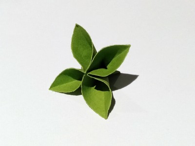 Origami Flower by Paul Jackson on giladorigami.com