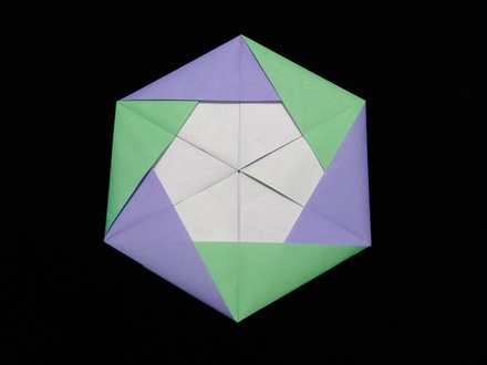 Origami Hexagonal medallion by Lorne Dannenbaum on giladorigami.com