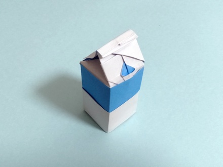 Origami Milk carton by Bodo Haag on giladorigami.com