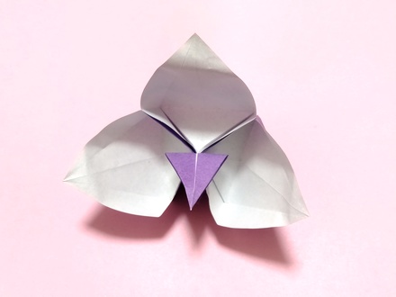 Origami Orchid 2 by Christophe Boudias on giladorigami.com