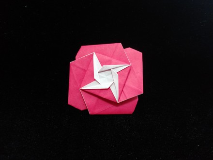 Origami Plane rose by Kawate Ayako on giladorigami.com